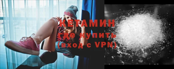 твердый Дмитровск