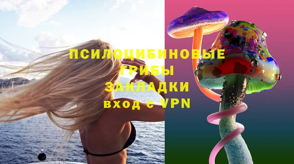 твердый Дмитровск