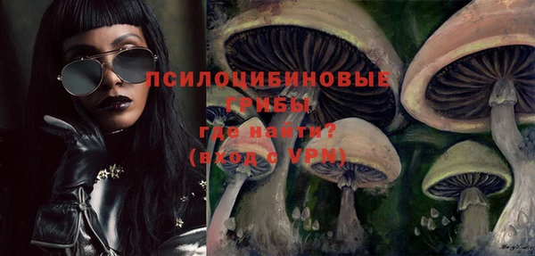 прущая мука Дмитров
