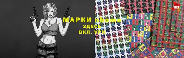 твердый Дмитровск