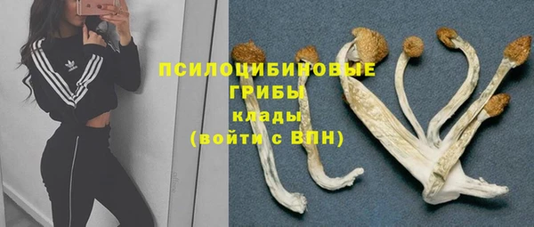 наркотики Дмитриев