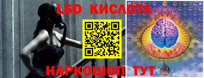 индика Донецк