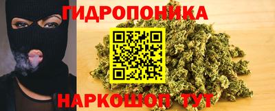 индика Донецк